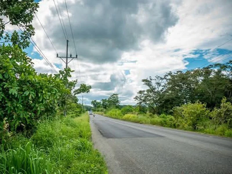 0.25 Acres Lots For Sale in La Amapola, Puerto Jimenez on Highway-245 - Gallery image 3