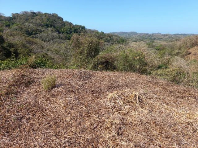 Building Lots for sale in a pristine and peacefull woodland 3 km from Samara Beach