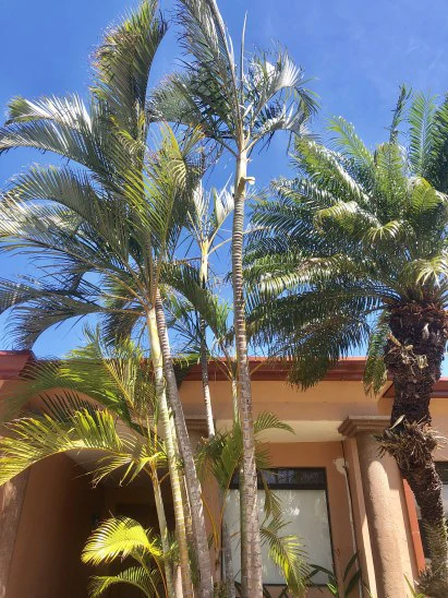 House For Sale in Pozos