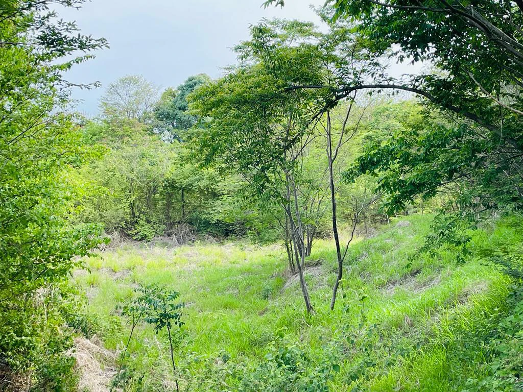 Ocean view lot for sale San Miguel beach Coyote Costa Rica - Gallery image 8
