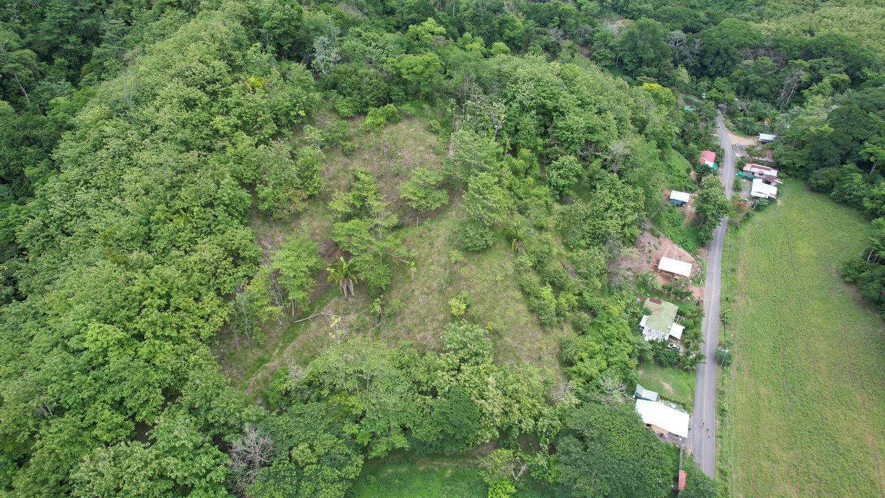 Finca Linda vista: Property for sale with flat land and small mountain with terrace to build and incredible views - Gallery image 8