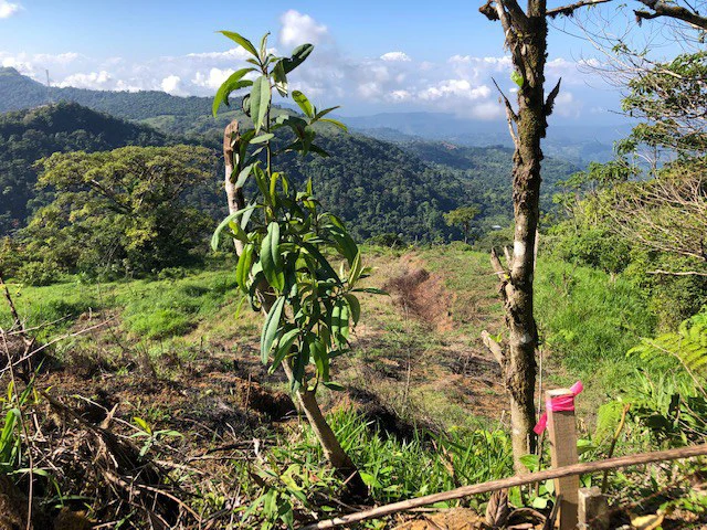 1.24 ACRES – Alto de San Juan, TOP OF THE WORLD VIEWS, Cool Breezes, Ready to Build Your Dream!!!!!: Mountain Development Parcel For Sale in Alto San Juan - Gallery image 19