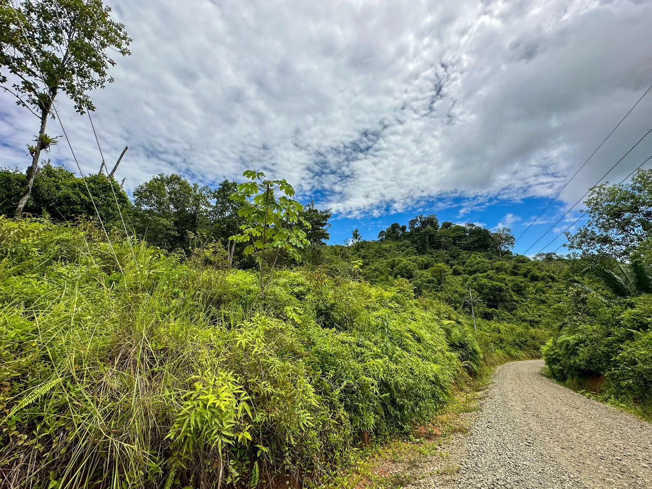 Costa Rican Gem with Conservation Potential: Preserve 26 Acres of Pristine Land - Gallery image 8