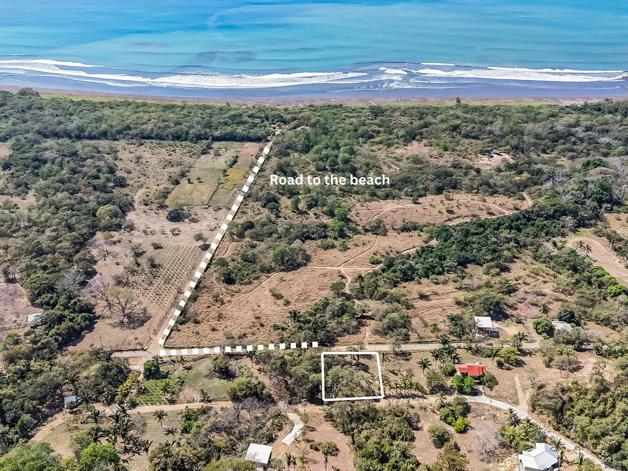 Lote Camaronal Natural: Half Acre Lot Just Mins to the Surf - Gallery image 13