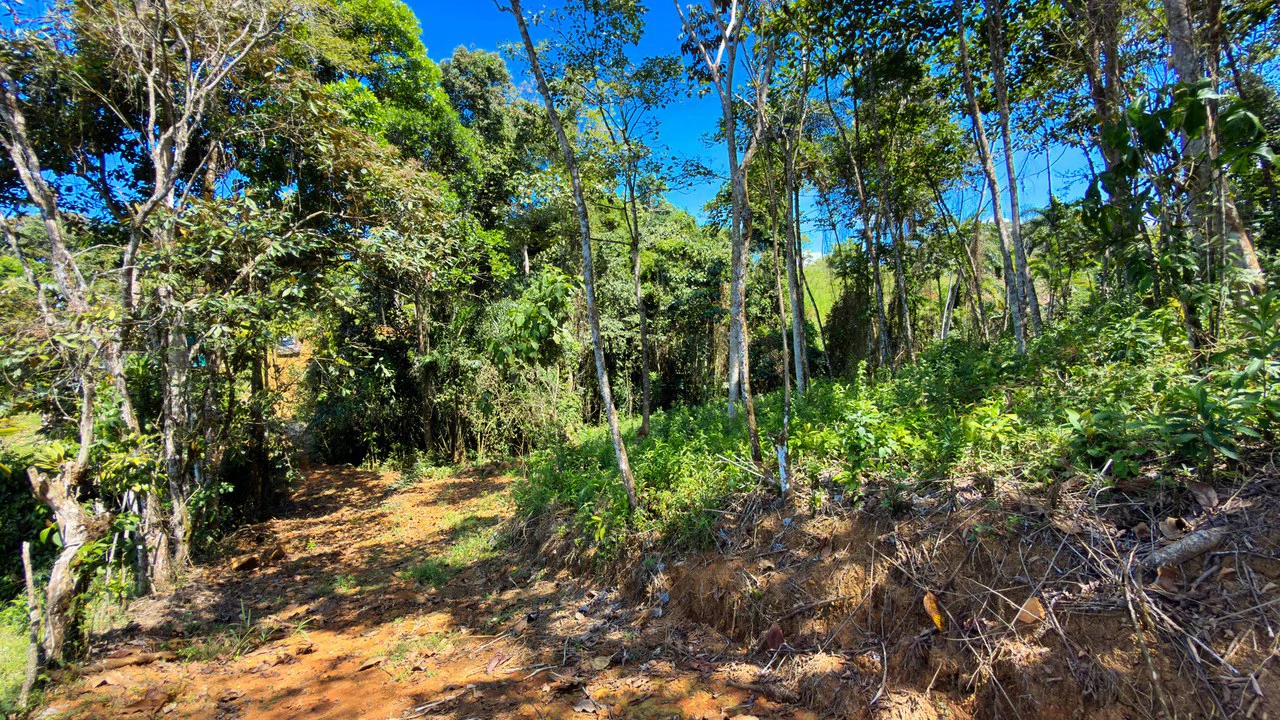 Countryside Home Construction Site For Sale in Cajón - Gallery image 6