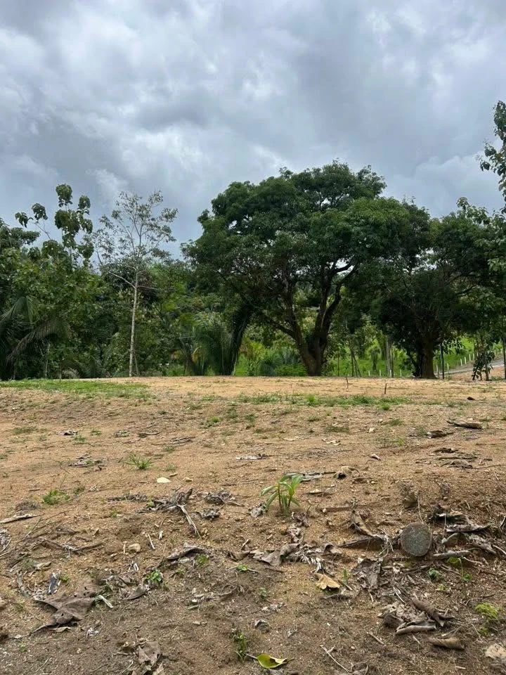 River Frontage Lot For Sale in Costa Rica Residential & Commercial Zoning - Gallery image 17