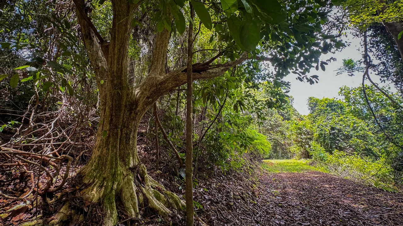 136 Acres of Oceanview Land with Multiple Building Sites | A Rare Development Opportunity in Costa Rica - Gallery image 2