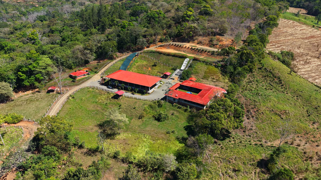Agricultural Land For Sale in Daniel Flores - Gallery image 32