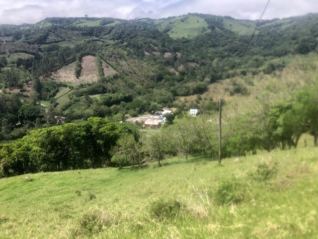 Coffee Farm in Monteverde is a full working Business - Gallery image 3
