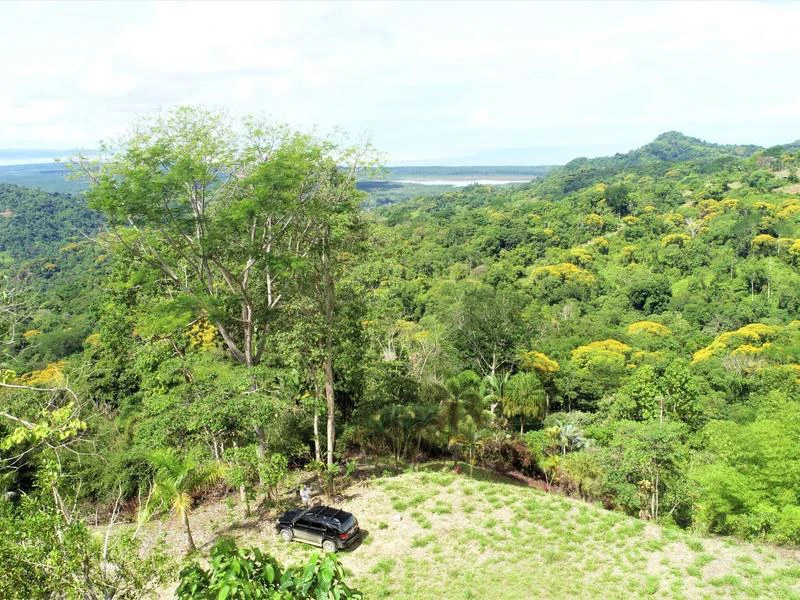 Captivating 3.15-Acre Property: Huge Pricedrop! Firesale Oceanview Lot in Tres Rios - Gallery image 18