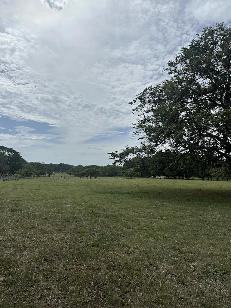 Finca La Fabiola: 4-Hectare Property in Santa Cruz, Guanacaste - photo 8