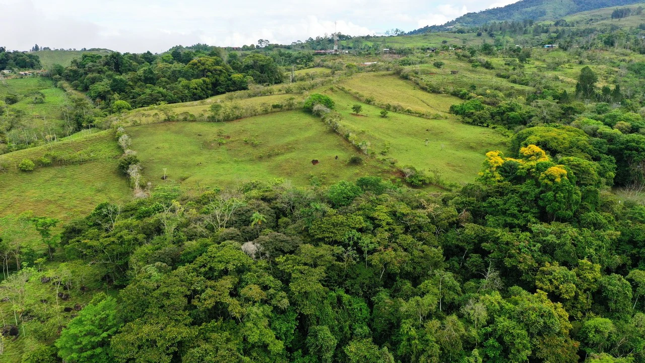 45 Acre Premier Riverfront Ranch in Santa Teresa Pérez Zeledón - Gallery image 14