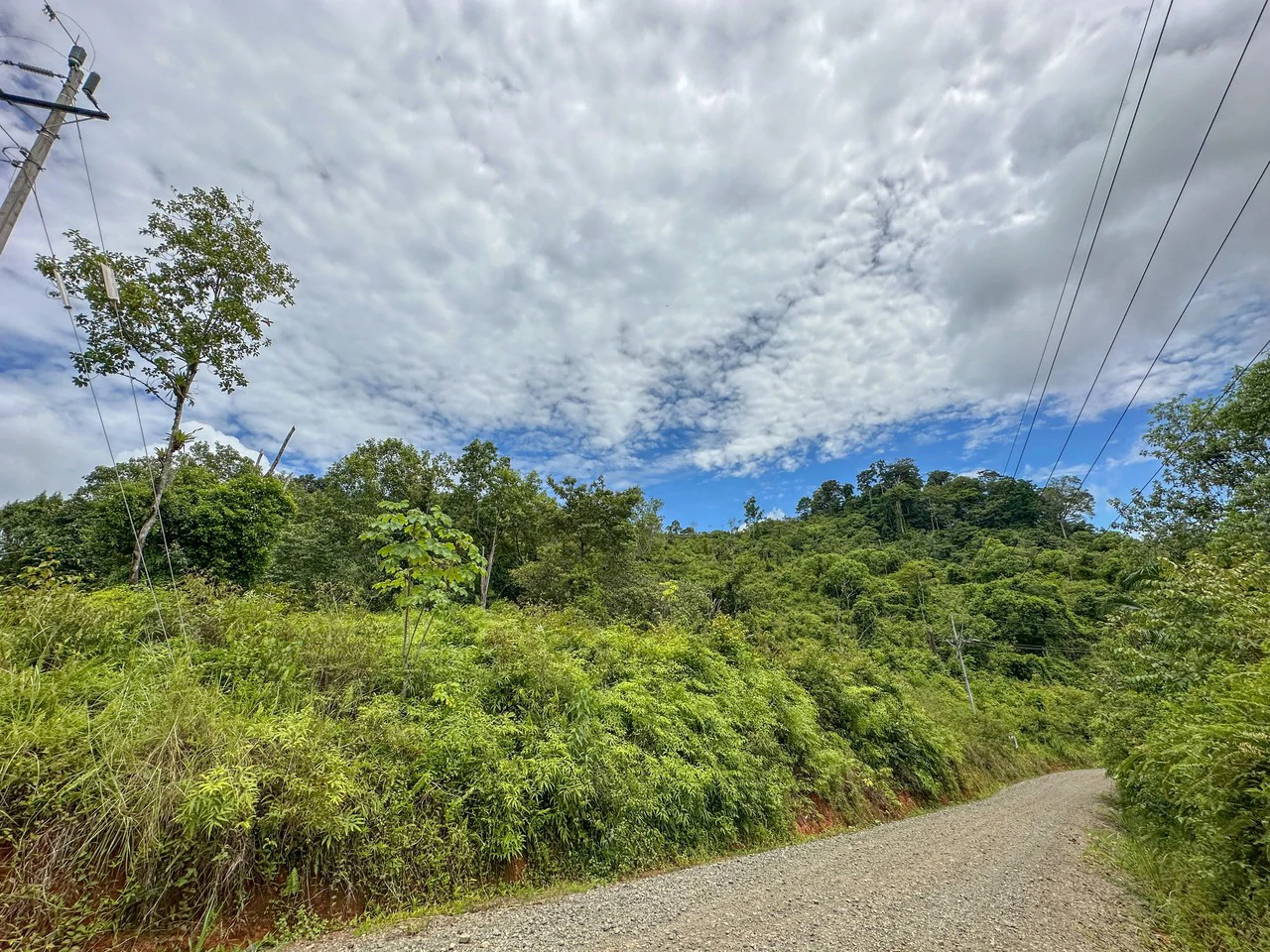 Costa Rican Gem with Conservation Potential: Preserve 26 Acres of Pristine Land - Gallery image 10