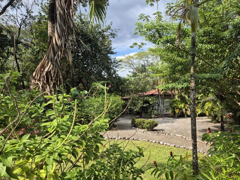 Casas Jungle: Charming Rental Compound with 5 units & pool in the heart of nature, minutes from Samara’s beaches - Gallery image 5