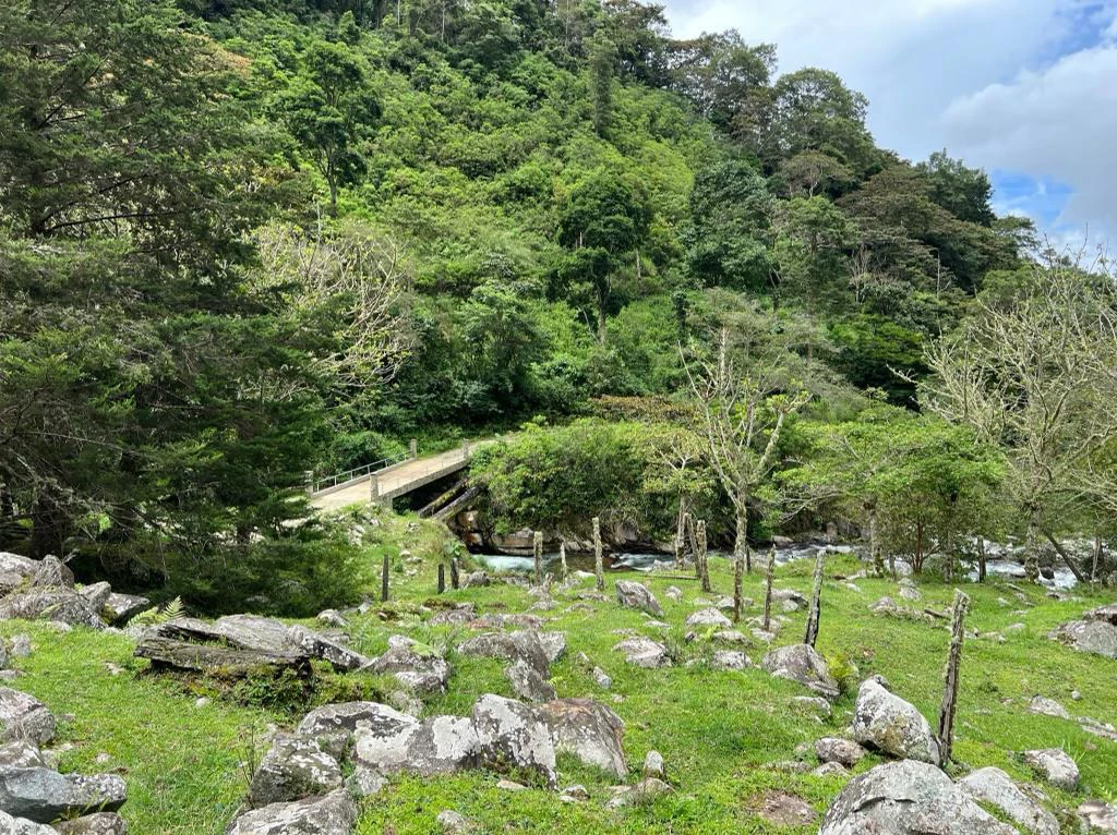 Mountain Agricultural Land For Sale in Herradura - Gallery image 11