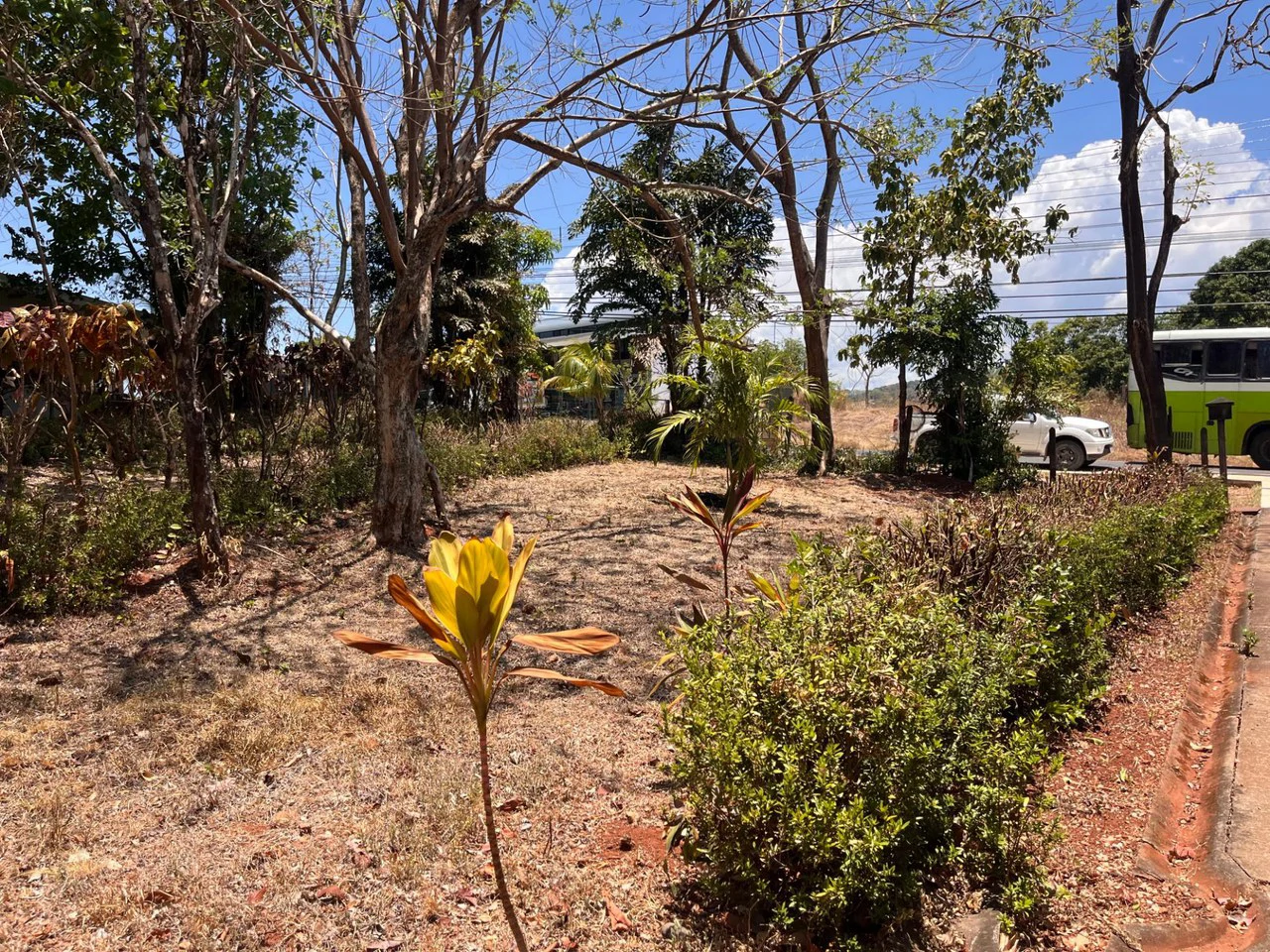 Build-Ready Flat Lot with Utilities in Carrillo, 5-min walk to Carrillo beach - photo 17