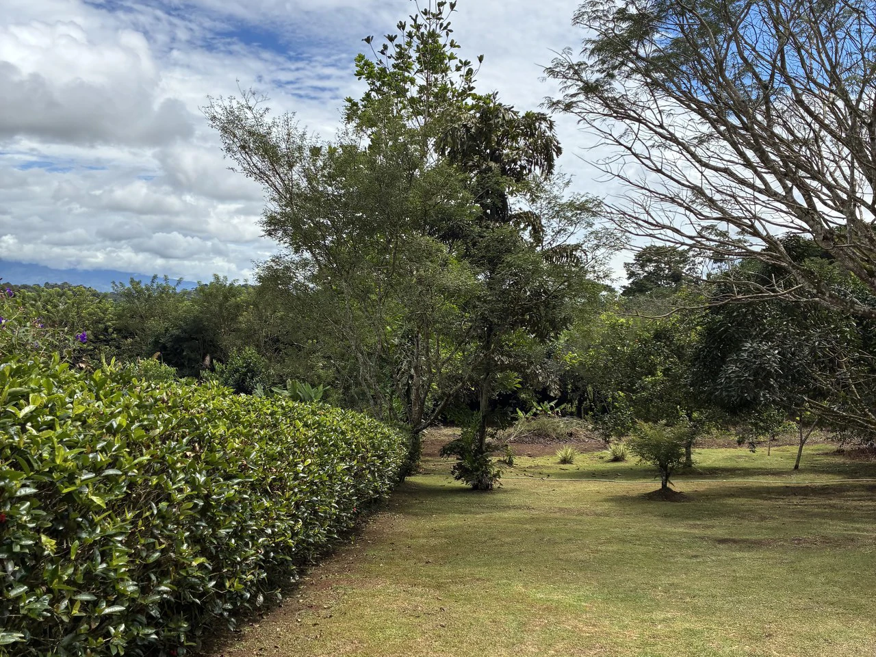 Building Lot 2O minutes from San Isidro with Fruit Trees and Views - Gallery image 2