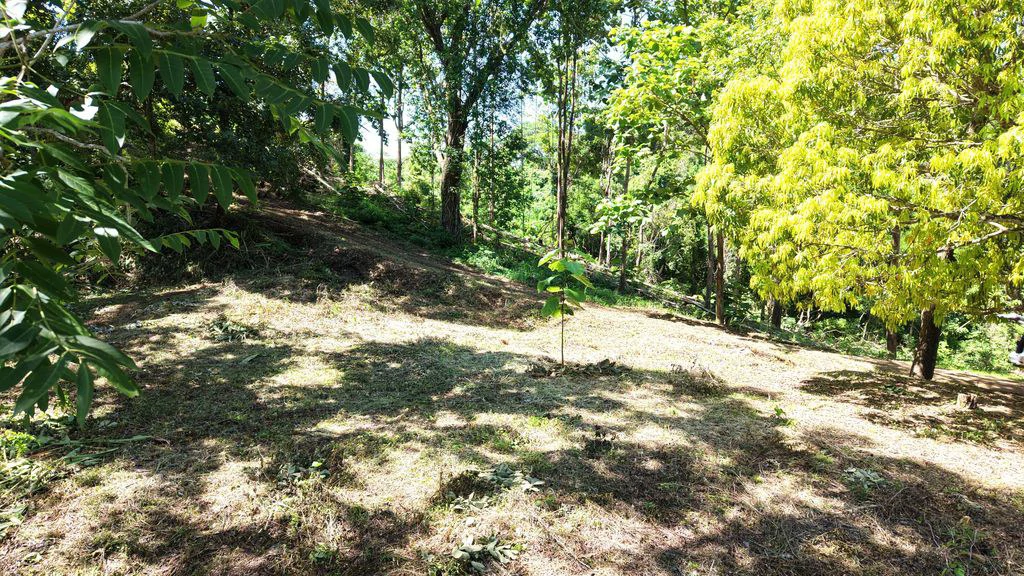 Lote Budry: Exclusive Elevated Lot with Stunning Mountain & Jungle Views Near Samara Beach - Gallery image 9