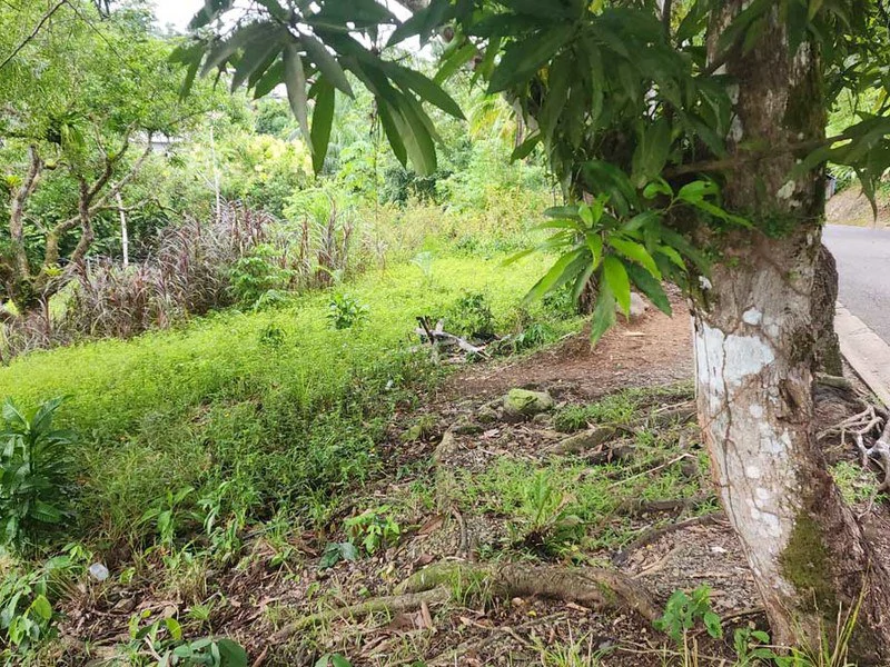 Subdividable lot in Manuel Antonio - Gallery image 7