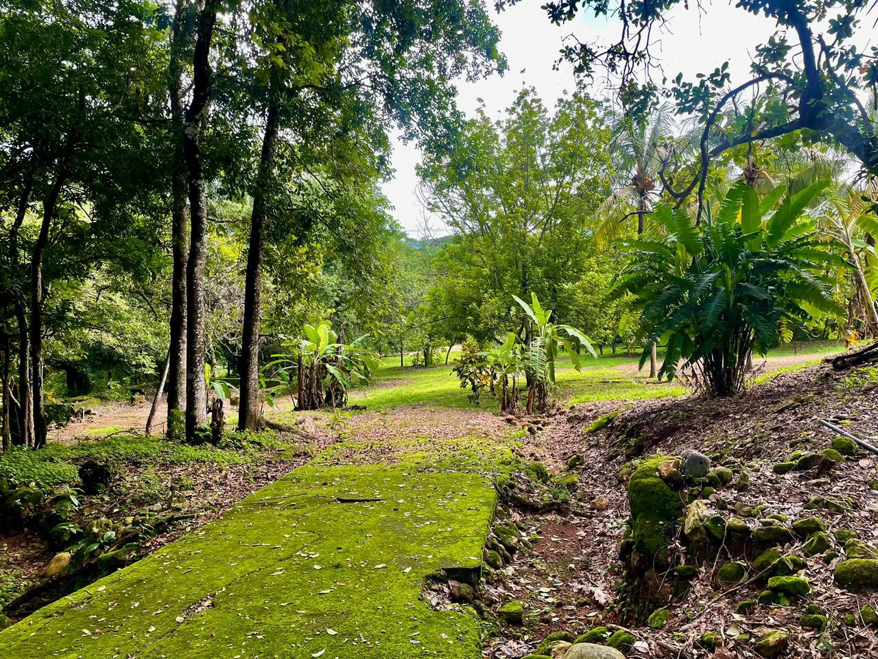 Property for Sale for Tourism Development with River in Orotina Alajuela Costa Rica - Gallery image 19