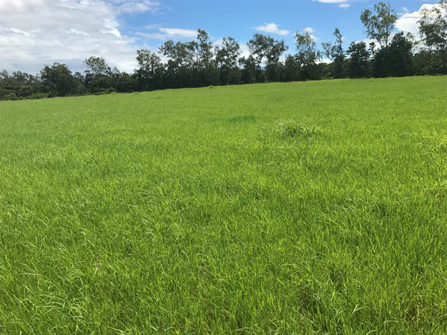 Large Development Land for Sale in Liberia, Guanacaste, Costa Rica - Gallery image 2
