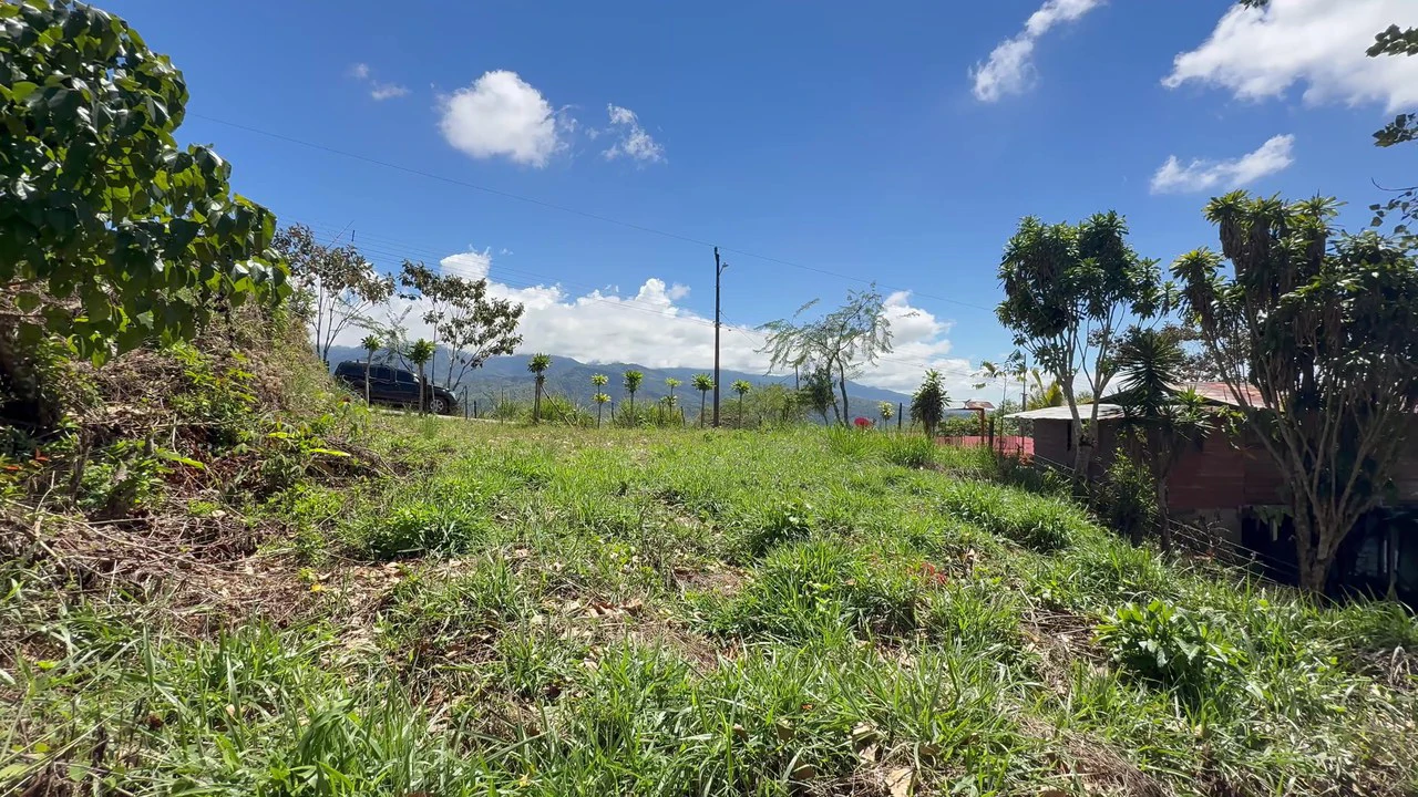 Property For Sale in Miravalles - Gallery image 2