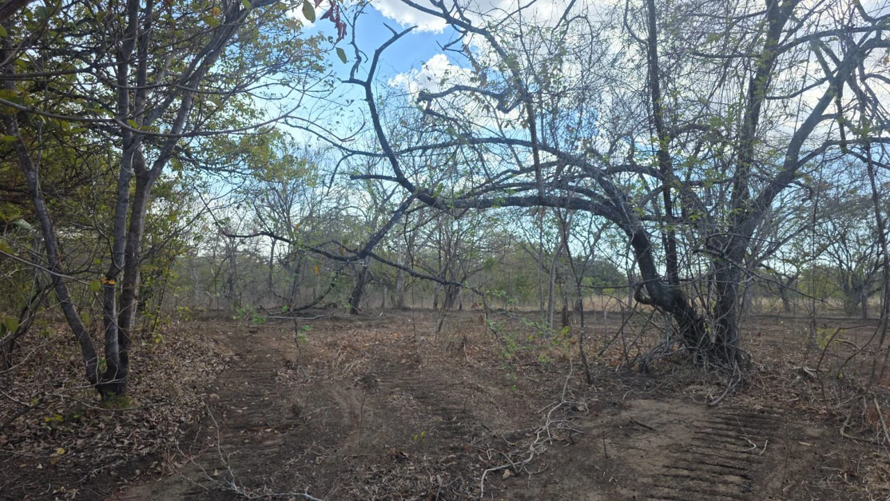 Huge Commercial Property Near Liberia Airport, Guanacaste, Costa Rica - Gallery image 3