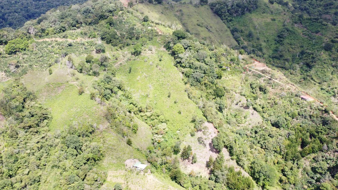 LOTE EN HERRADURA RIVAS.: Mountain Agricultural Land For Sale in San Isidro del General - Gallery image 11