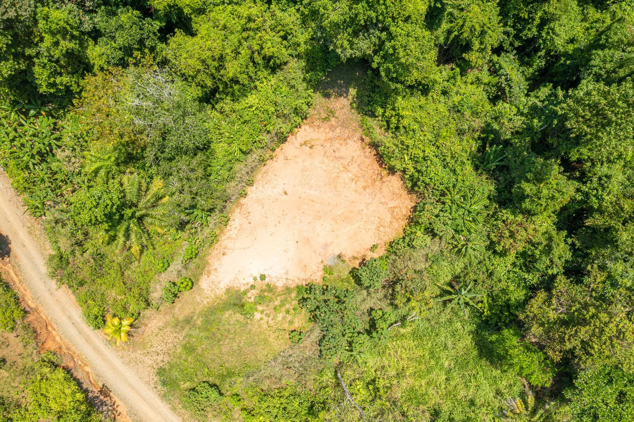 Mountain Mixed Use Building For Sale in Savegre - Gallery image 4