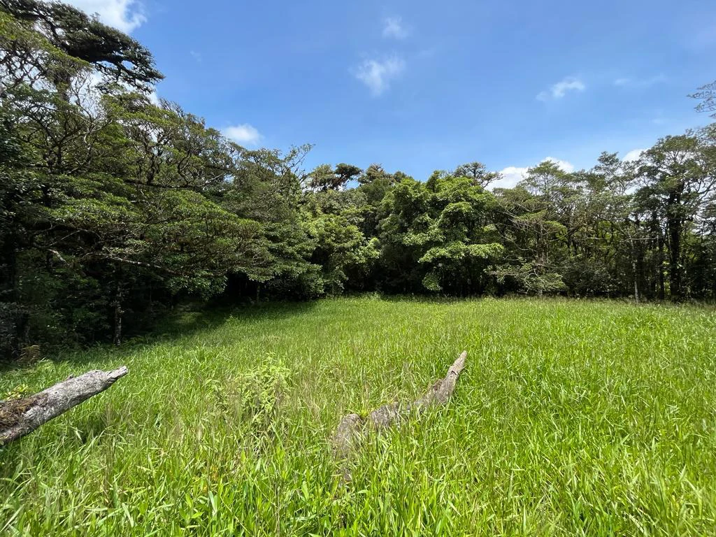 Fantastic property near Biological Reserve - Gallery image 22