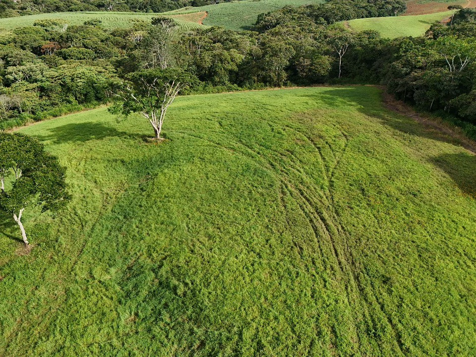 Agricultural Land For Sale in Entre Cocorí y Pavones - Gallery image 3
