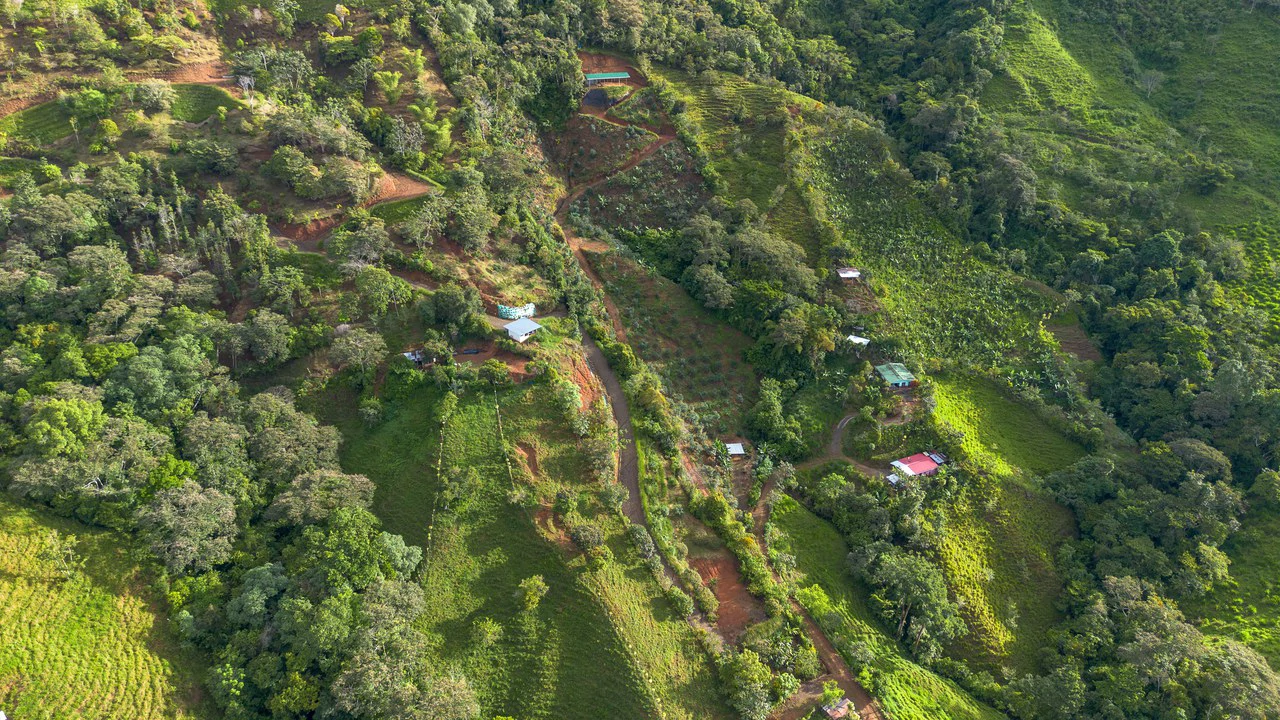 10.21 Acres with Views & Plantels – Pérez Zeledón - Gallery image 28