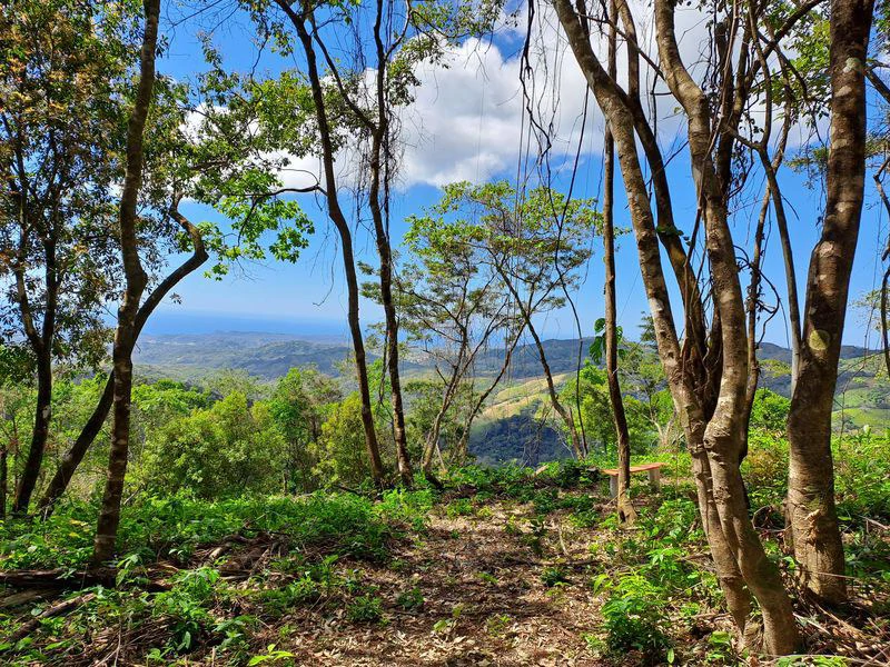 Lote Mirador # 3: Breathtaking Lot with Stunning Ocean Views, Large Building Pad, just 30 minutes from Samara Beach - Gallery image 5