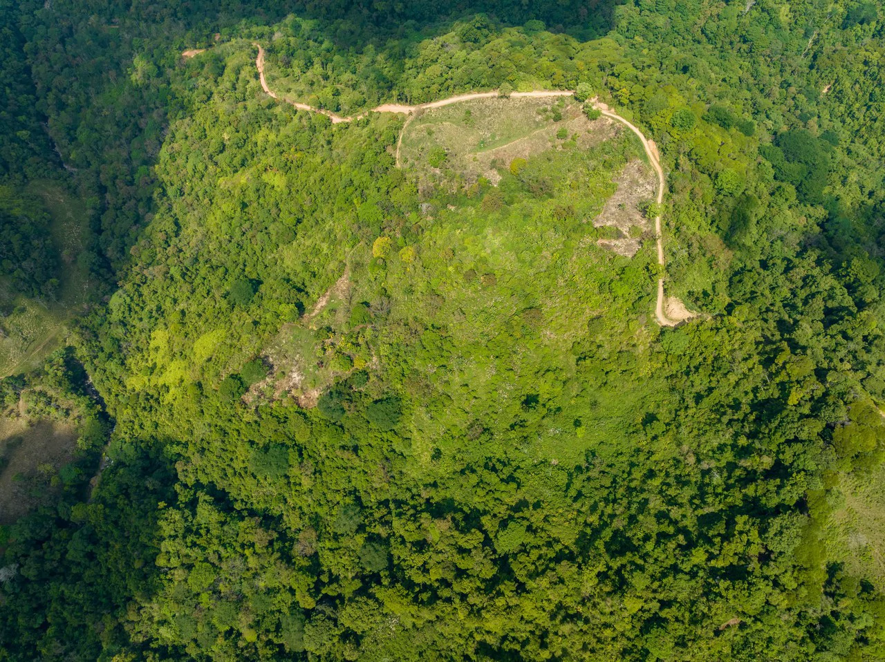 101 Acre Waterfall Riverfront and Ocean View Farm in Playa Uvita - Gallery image 19