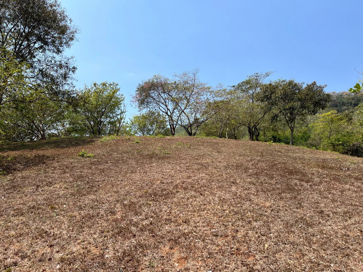Stunning Views in Nandayure Valley -Amazing land near Bejuco and Pilas beaches Path - Gallery image 18