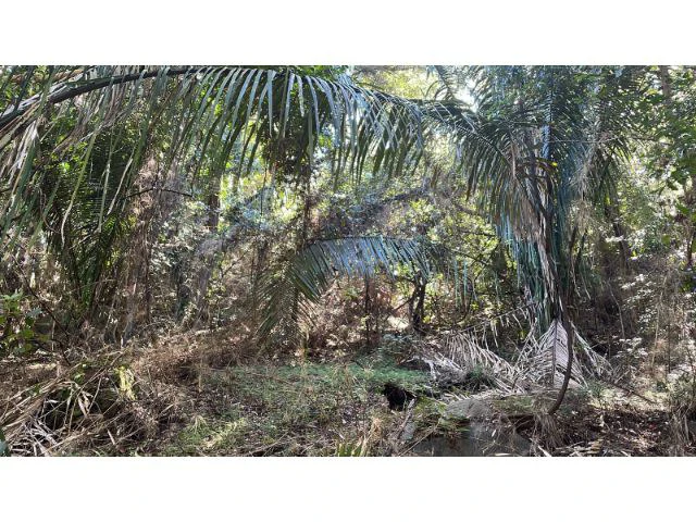 Nature Paradise Farm for sale in the mountains of Quebrada Grande, Building potential property 30 minutes away from Liberia - Gallery image 16