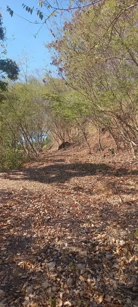 58 hectares: Ocean View Development Land for Sale in Tambor Costa Rica – 58 Hectares on the Nicoya Peninsula - Gallery image 5