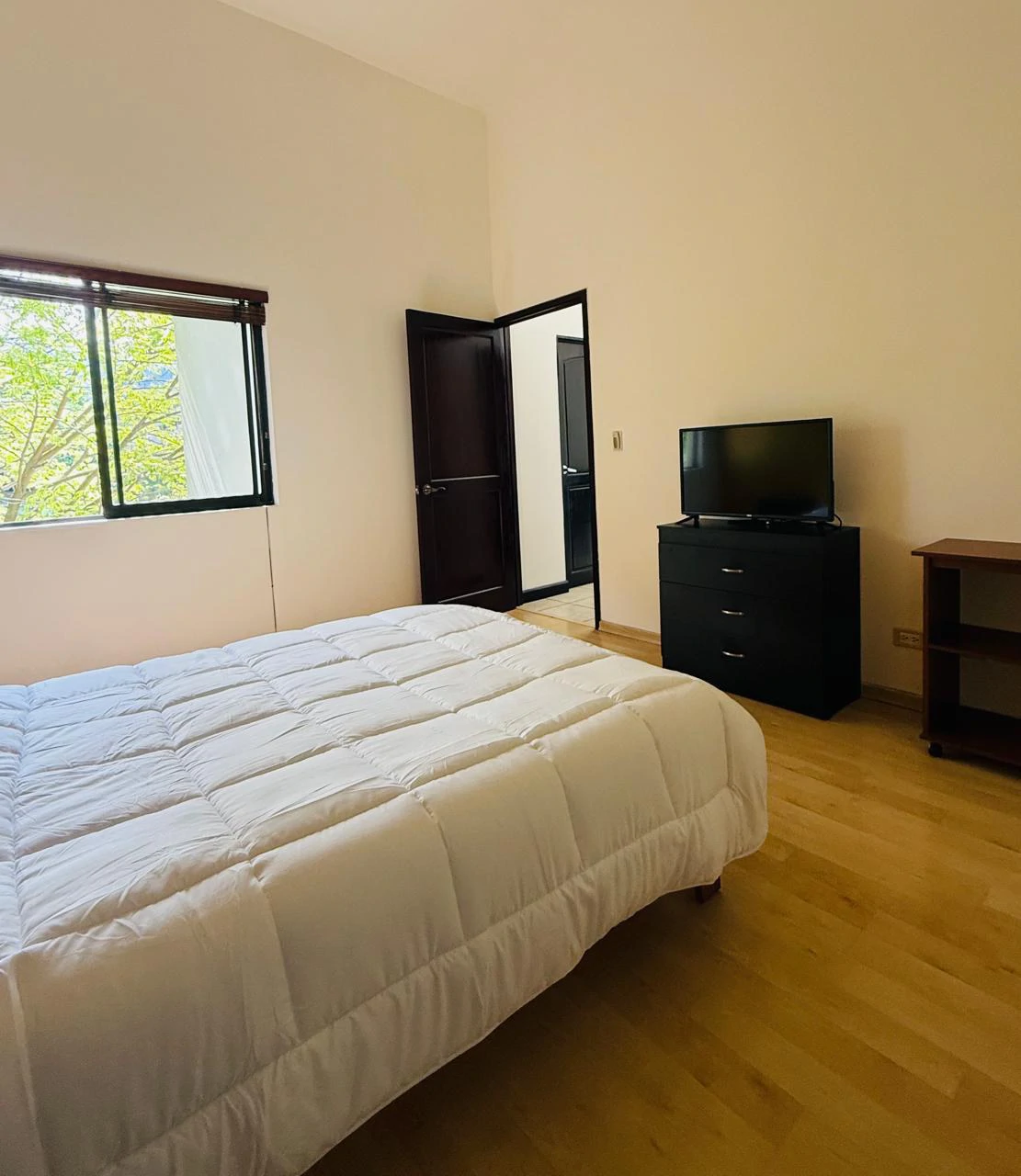 2 bedroom furnished apartament for sale Santa Ana Costa Rica - Gallery image 5