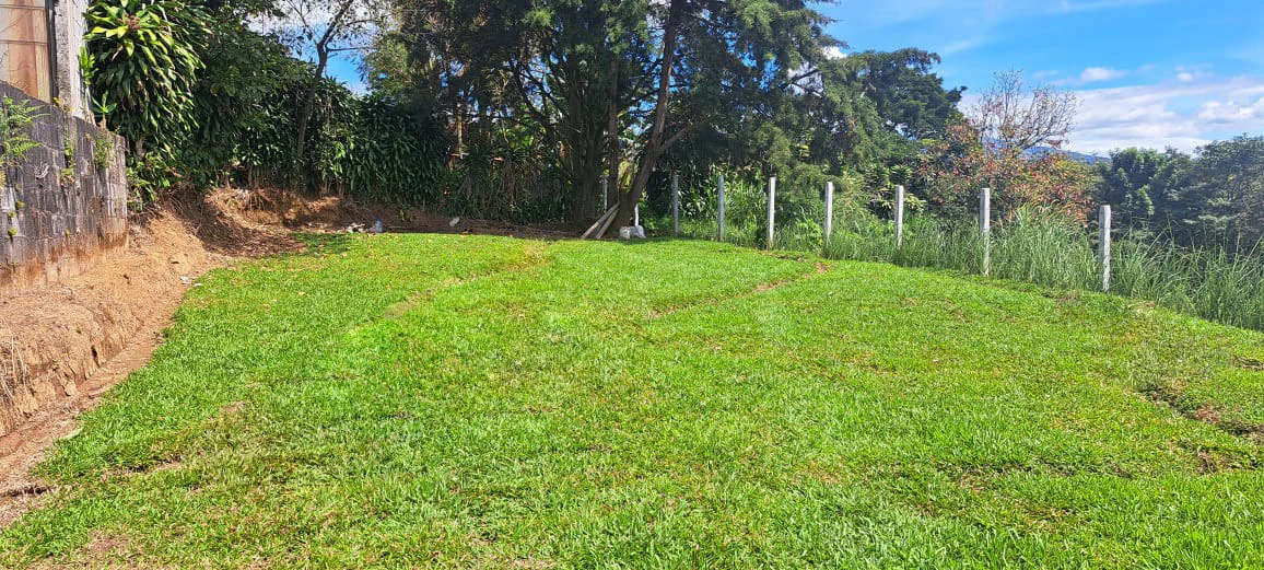 Lot for Sale in San Isidro de Grecia – Fresh Climate and Stunning Views - Gallery image 2