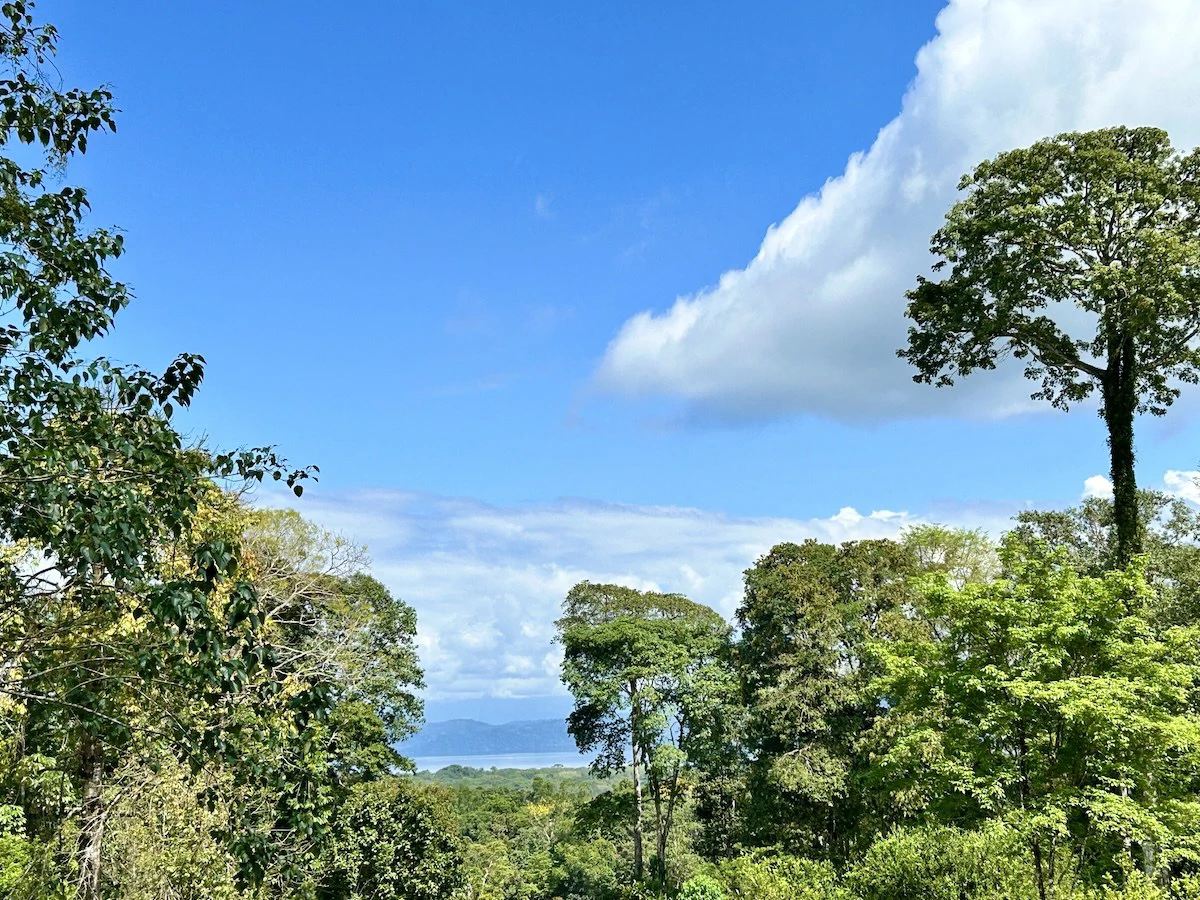 Ideal Osa Peninsula Property for Estate or Homestead - Gallery image 7