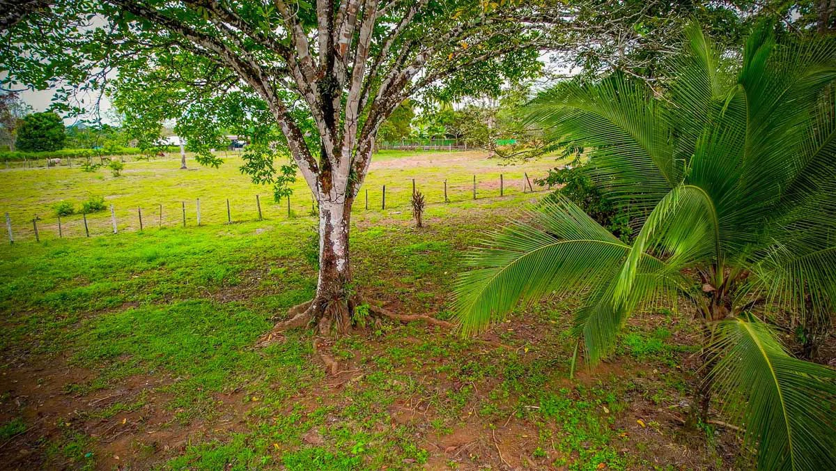 Hill House Gulf View | Property in Cañaza - Gallery image 6