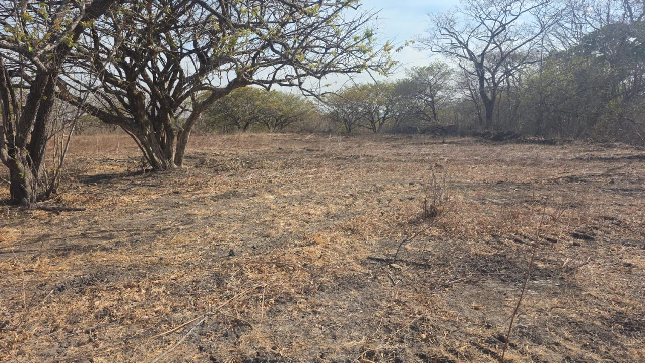 Huge Commercial Property Near Liberia Airport, Guanacaste, Costa Rica - Gallery image 8