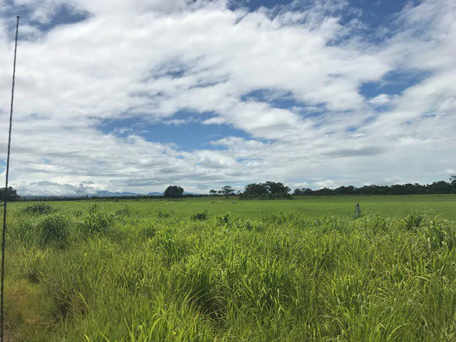 Large Development Land for Sale in Liberia, Guanacaste, Costa Rica - Gallery image 32