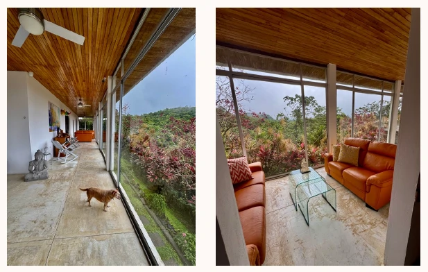FLOWERS OF PARADISE - Artists Villa with Character - Gallery image 15