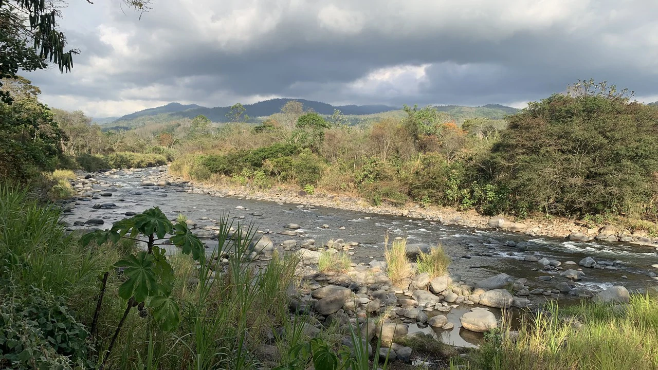 Talari Hotel: Nature and Bird Lover's Paradise - Mountain Lodge - Gallery image 27