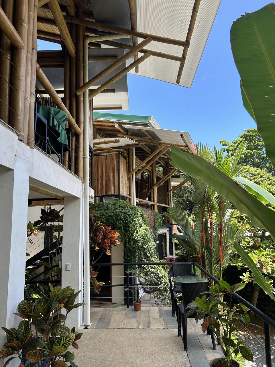 Cabinas Bambura: Cabinas Bambura: Successful Airbnb Business with Stunning Mountain & Jungle View - Gallery image 17