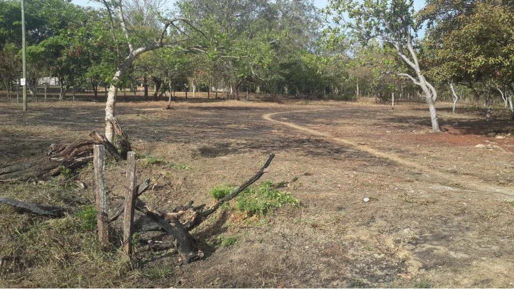 Building lots for sale in Cañas Dulces, flat land in a rural area near Liberia - Gallery image 4