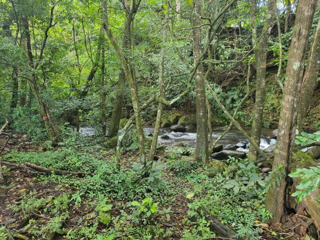 Charming property for sale in Nueva Guatemala with stunning views of the Tenorio Volcano and the beautiful green valleys - Gallery image 3