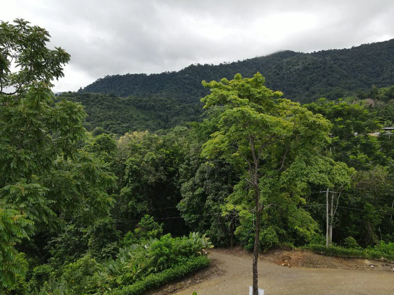 Panoramic 180 Degree Ocean View Lot Ready To Build Close To Ojochal - Gallery image 24