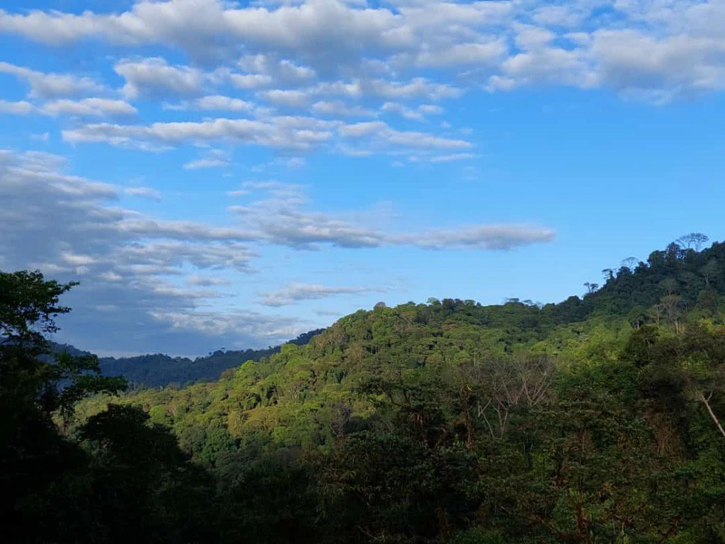 SECLUDED PARADISE WITH STUNNING VIEWS, WATERFALLS & ABUNDANT WILDLIFE - Gallery image 16